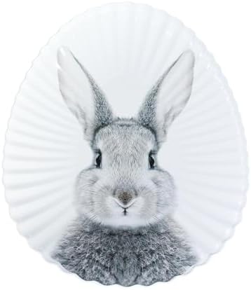 KAMACA 3er Set Keksdosen aus Metall mit Deckel – Praktische Plätzchen Aufbewahrung für Weihnachten, Advent und Winter